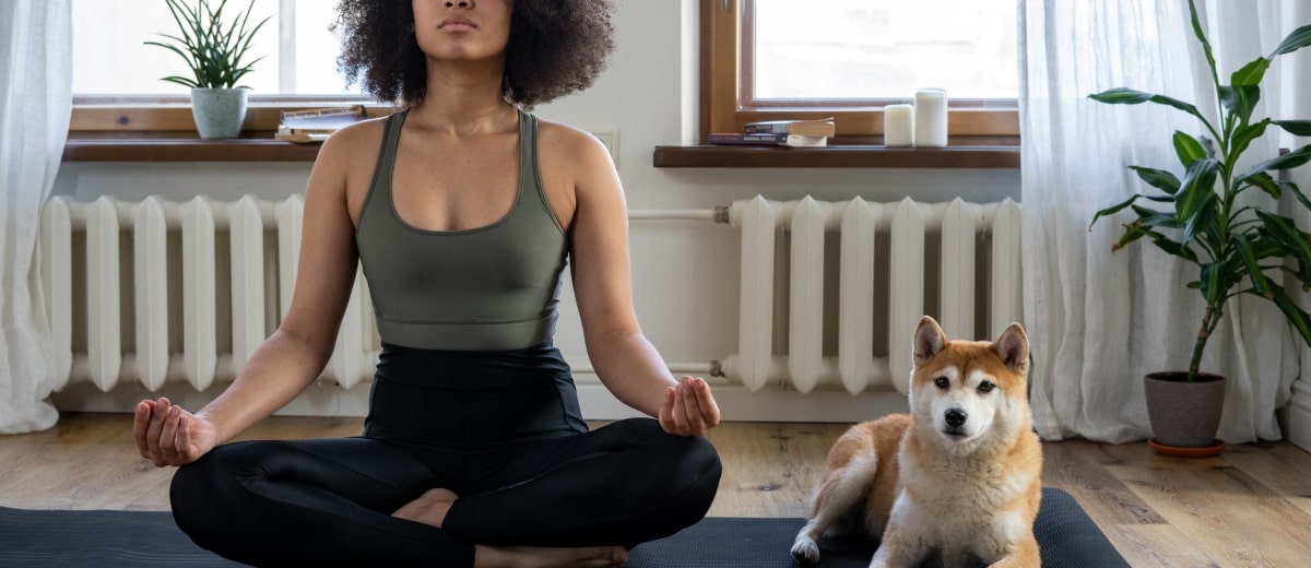 Furry Finances Guide to Pet Insurance in SA SaveInsurance